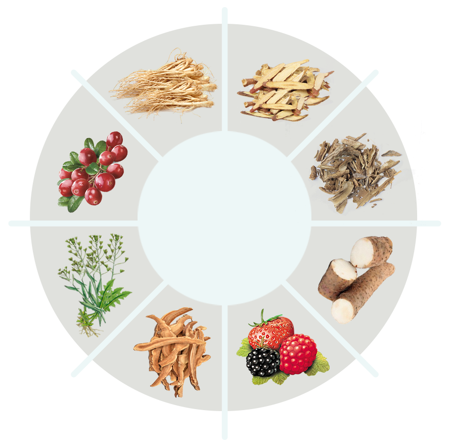 Restolin ingredient circle